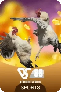 DS88