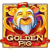 Golden Pig